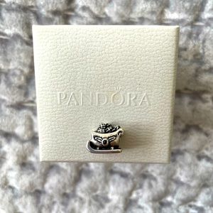 Pandora sleigh charm